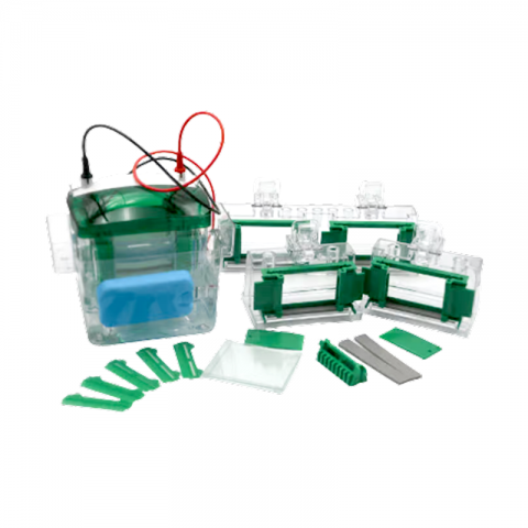 中科永儀垂直電泳槽EPT-VT04MINI4